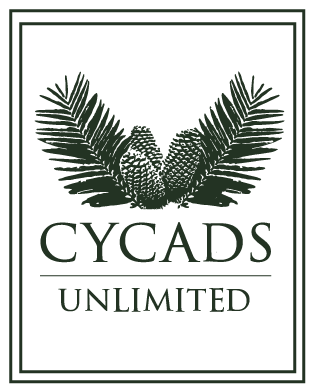 Cycads Online